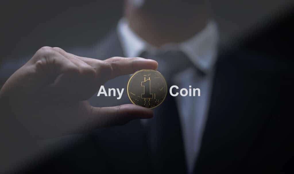 Any1Coin-truffa o affidabile